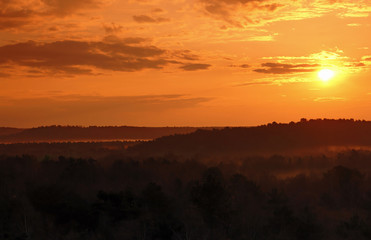 Fontainebleau forest sunrise    