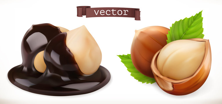 Hazelnut in chocolate. 3d realistic vector icon