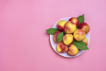 Fresh harvested nectarines, plate, leaves lies round  on pink background Vegetables vitamin Keratin Natural Peach Organic Top View Flat Lay Rustic Style Country Village Agriculture concepts Empty text
