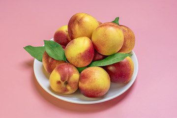 Fresh harvested nectarines, plate, leaves lies round  on pink background Vegetables vitamin Keratin Natural Peach Organic Top View Flat Lay Rustic Style Country Village Agriculture concepts Empty text