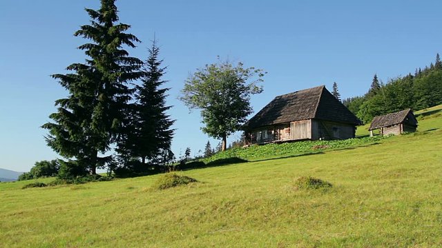 House and spruce in the mountains at dawn, Wooden house in the Carpathians mountains village, Summer rural landscape in mountains Carpathians, lonely house in the hills