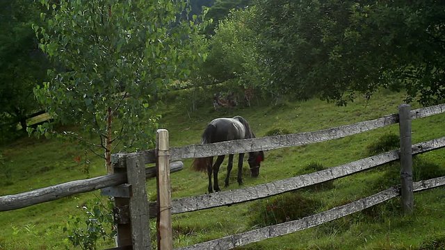 Horse in the ferm, Horse in the mountains