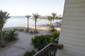 hotel building and palm trees