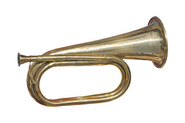 Gold trumpet on flea market