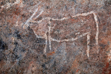 Bushmen (san) rock painting of eland antelopes, Northern Cape, South Africa.