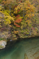 秋の紅葉と渓谷