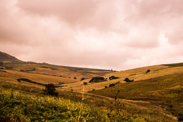 Obraz premium Mediterranean landscape. Cloudy but warm. South Europe.