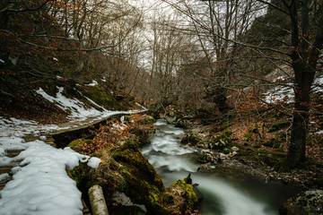 Faedo de Ciñera