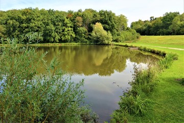 Wald - Wasser - See - Spiegelung