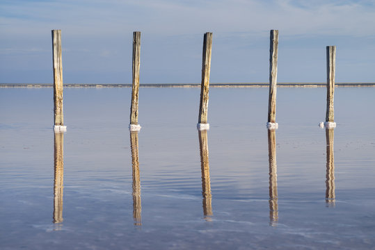five old wooden columns in water of salt lake in morning sun lights
