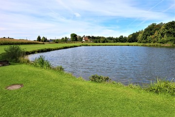 Wald - Wasser - See - Spiegelung