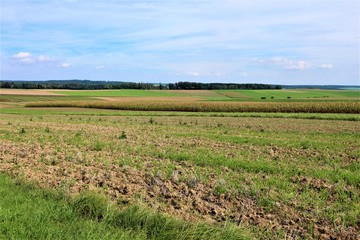 Wald - Wasser - See - Spiegelung