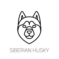 Siberian Husky linear face icon. Isolated outline dog head vector