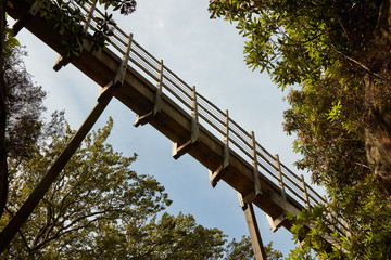The wooden bridge across the gorge.