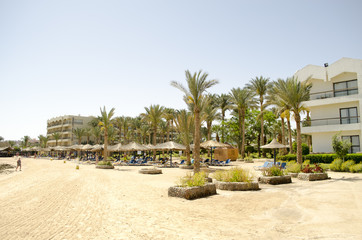 Fototapeta na wymiar beach with palm trees loungers and umbrellas