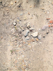 creek along the road after the rain