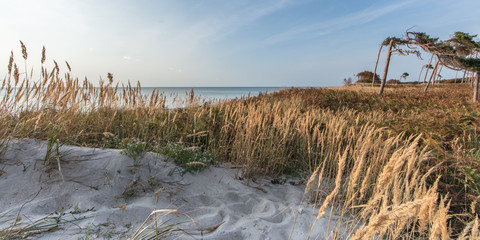 traumstrand