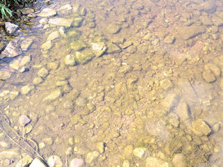 clear waters on the river with fish
