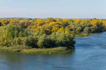 Colorful autumn trees on the riverfront.