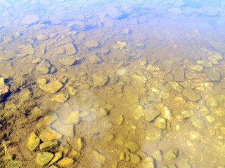 clear waters on the river with fish