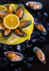 Food. mussels, vegetables, yellow plate, black background, ice