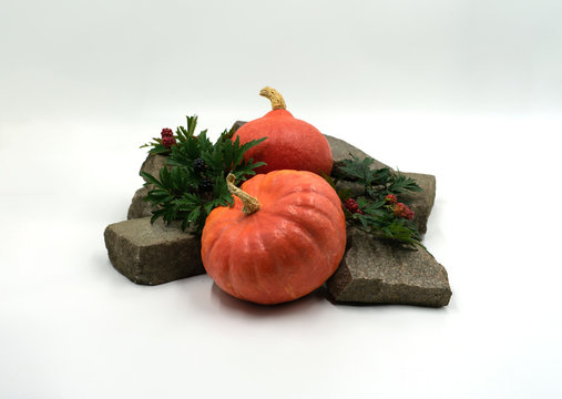 Speisekürbisse (Hokkaido Kürbis) liegen dekorativ auf Steinen mit Brombeeren.