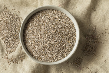 Dry Organic White Chia Seeds