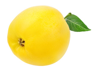 Fresh yellow apple isolated on white background with clipping path