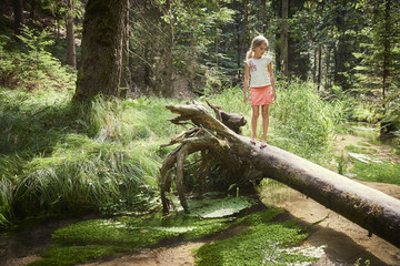 Child cute blond girl playing in the creek. Girl walking in forest stream and exploring nature. Summer children fun. Children summer adventure