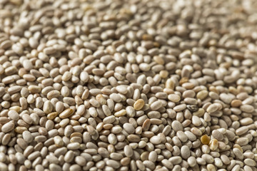 Dry Organic White Chia Seeds