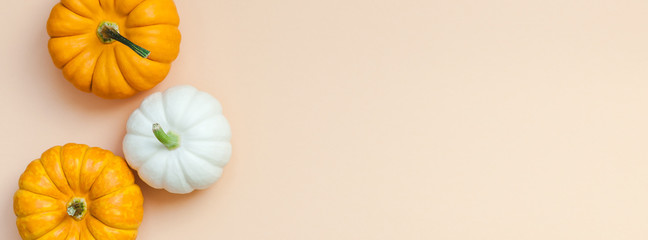 Fall background with small pumpkins