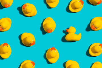 One out unique rubber duck concept on a blue background