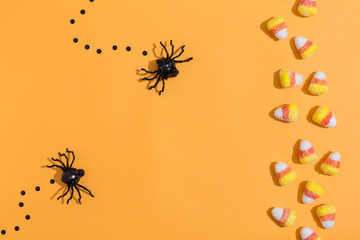 Halloween spiders overhead view on a solid color
