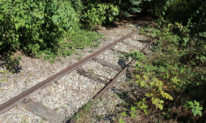 Fototapeta premium Binari abbandonati del treno