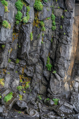 Landscape and nature in Iceland