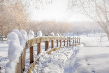 Wooden hedge and path in snowdrifts in a winter day