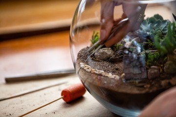 Terrarium planting in workshop event