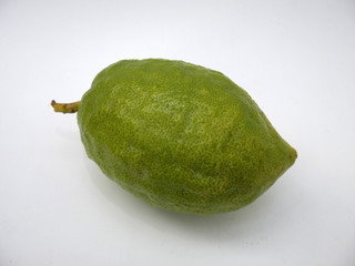 etrog ritual fruit
