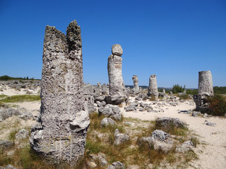 Natural phenomenon Stone forest - Pobiti kamani In Bulgaria
