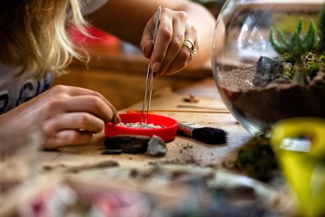 Terrarium planting in workshop event