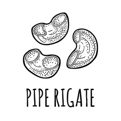 Pasta pipe rigate. Vector vintage engraving black illustration