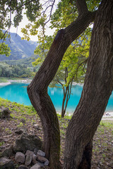 Tree on tree at Tenno lake