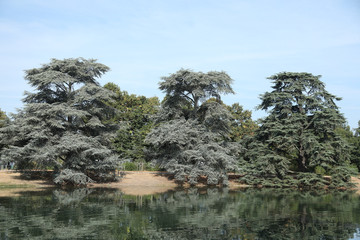 Fototapeta premium lac