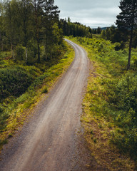 Fototapeta na wymiar Gravel road through the forest, Lapland Finland