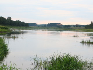 river summer landscape at sunset