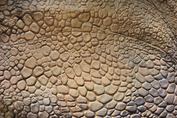 Texture of artificial scales