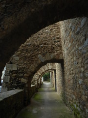 Fototapeta na wymiar Camprodon. Pueblo medieval de Girona, Cataluña, España