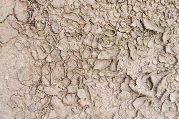 Close up of Dry cracked earth background, clay desert texture