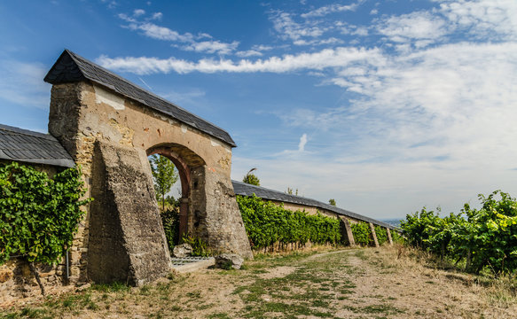 Dom&auml;ne Steinberg beim Kloster Eberbach im Rheingau