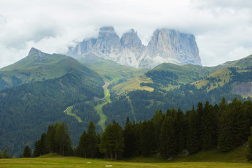 Fototapeta na wymiar summer in south Tirol, Italy
